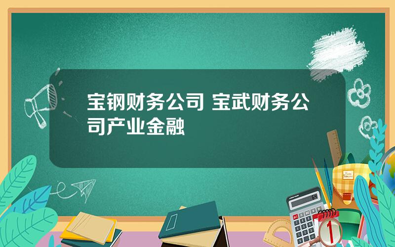 宝钢财务公司 宝武财务公司产业金融